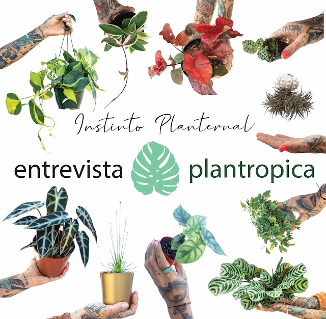 Entrevista de Plantropica a Instinto Planternal