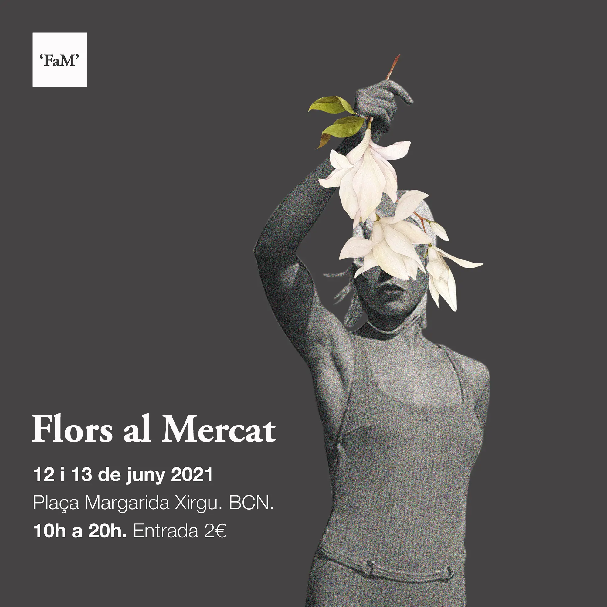 Intercambio de plantas y esquejes en Flors al Mercat